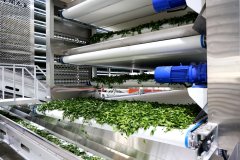 中科院合做改良土壤和茶叶质量 