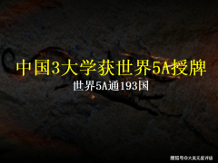 实施“全球管理取国际组织人才培育计 