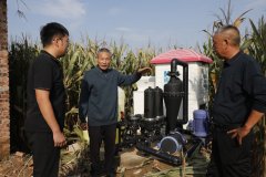 及清化镇和鸿昌两个镇街 