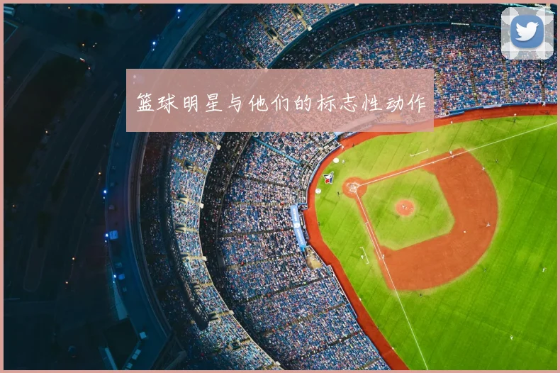 篮球明星与他们的标志性动作